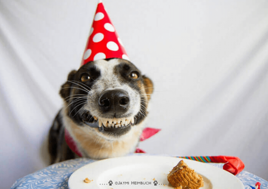 Hình động chúc mừng sinh nhật